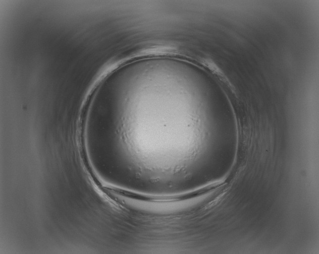 X0000056311421200509021525