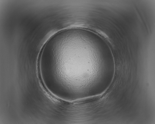 X0000056311423200509021525