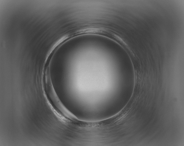 X0000056311426200509021525