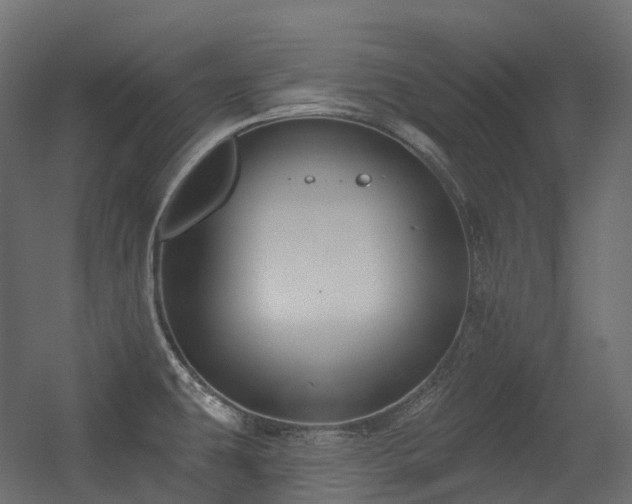 X0000056311431200509021525