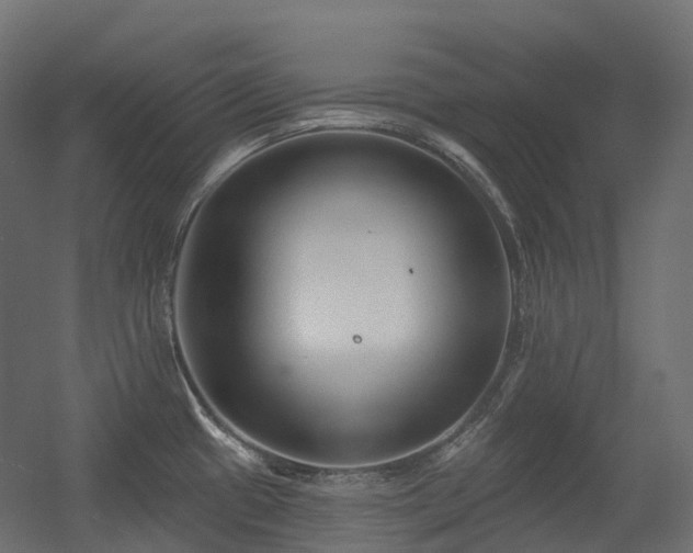 X0000056311433200509021525
