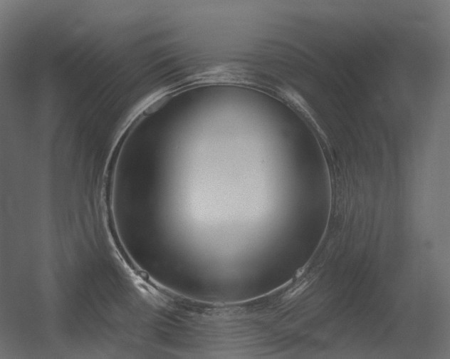 X0000056311434200509021525