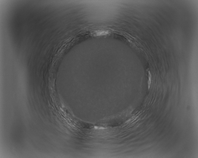 X0000056311441200509021525