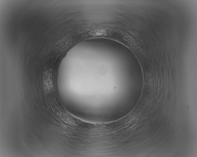 X0000056311442200509021525