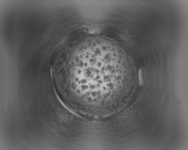 X0000056311443200509021524
