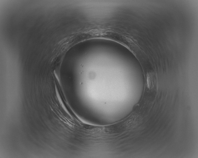 X0000056311444200509021524
