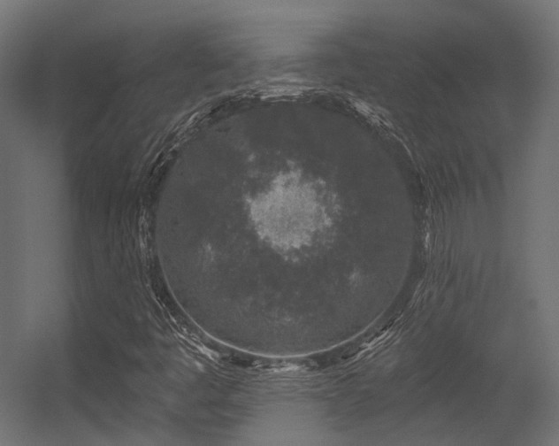 X0000056311445200509021524