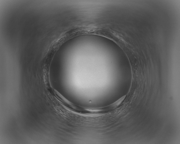 X0000056311447200509021524