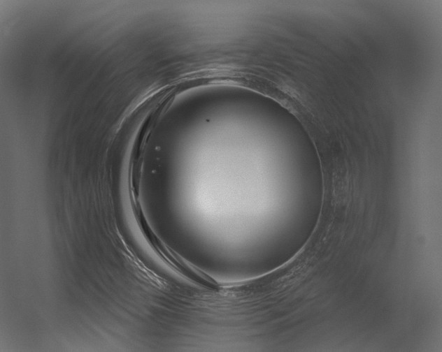 X0000056311450200509021524