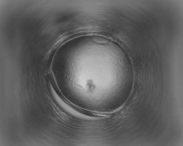 X0000056311451200509021524