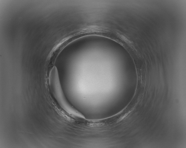 X0000056311453200509021524