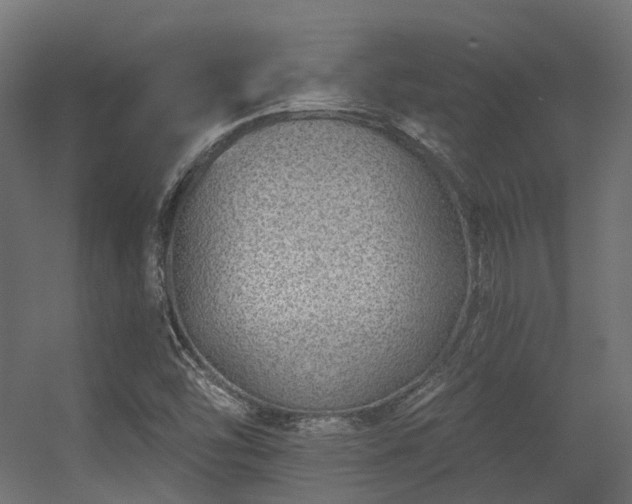 X0000056311454200509021524