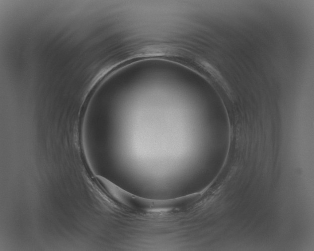 X0000056311465200509021524