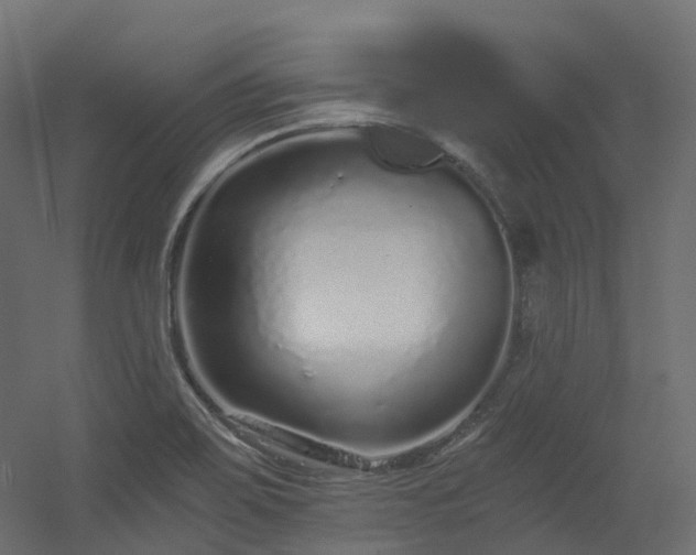 X0000056311467200509021524