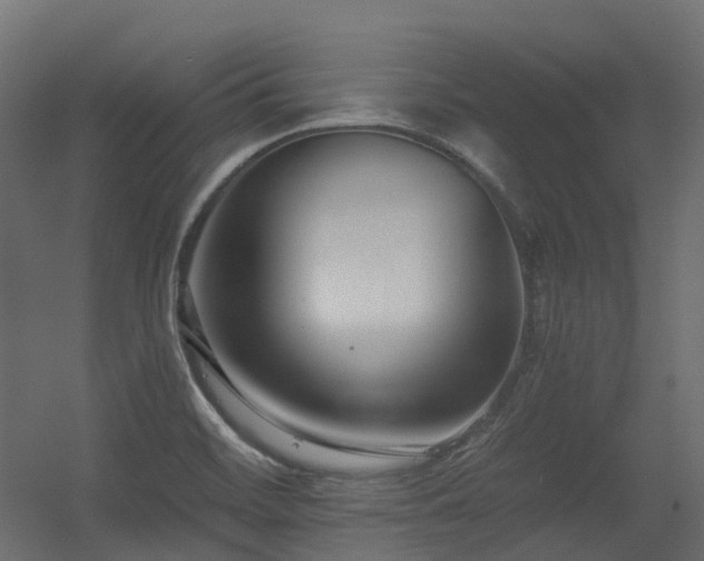 X0000056311468200509021524