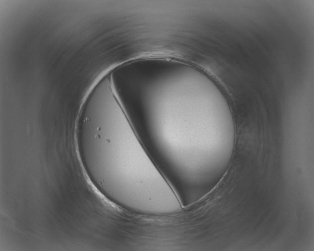 X0000056311476200509021524