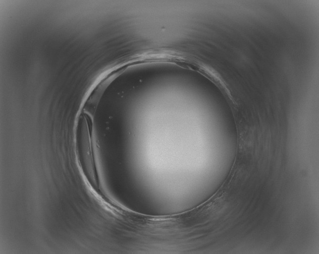 X0000056311483200509021524