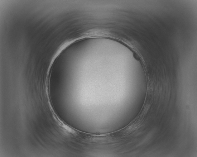 X0000056311486200509021524