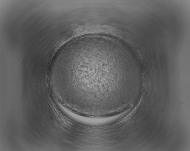 X0000056311497200509021523