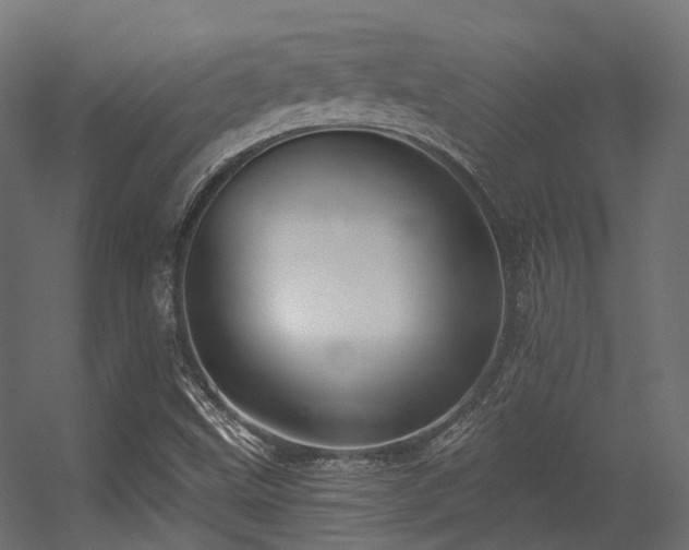 X0000056311499200509021523