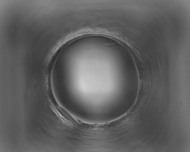 X0000056311503200509021523