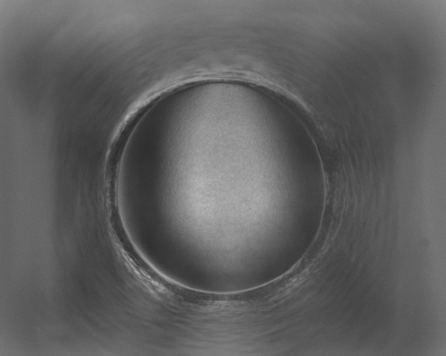 X0000056311506200509021523