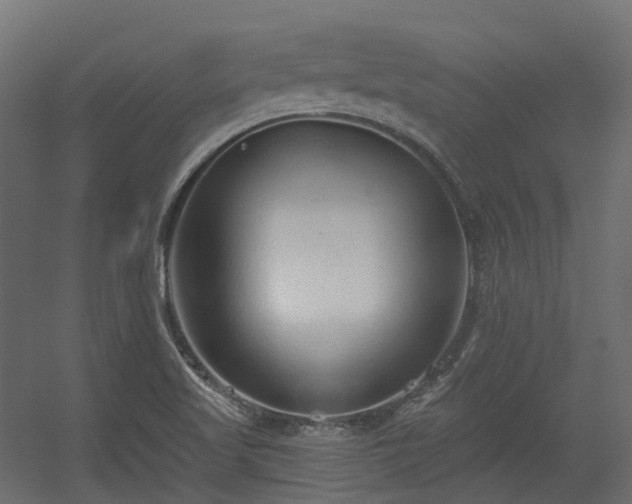 X0000056311509200509021523