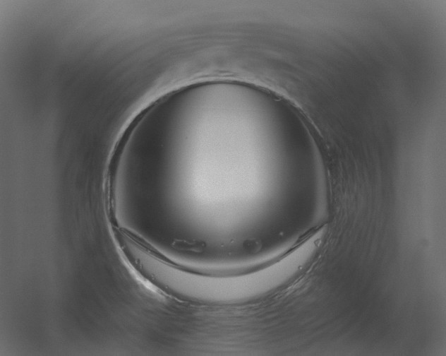 X0000056311519200509021523
