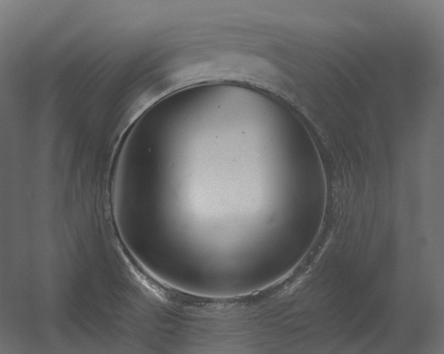 X0000056311521200509021523