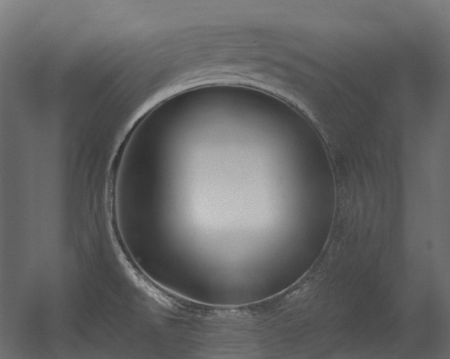 X0000056311526200509021524