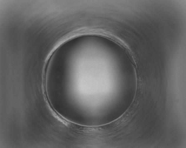X0000056311528200509021524