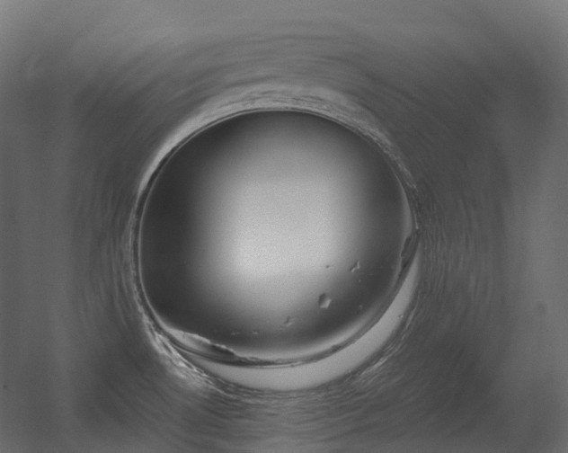 X0000056311530200509021524