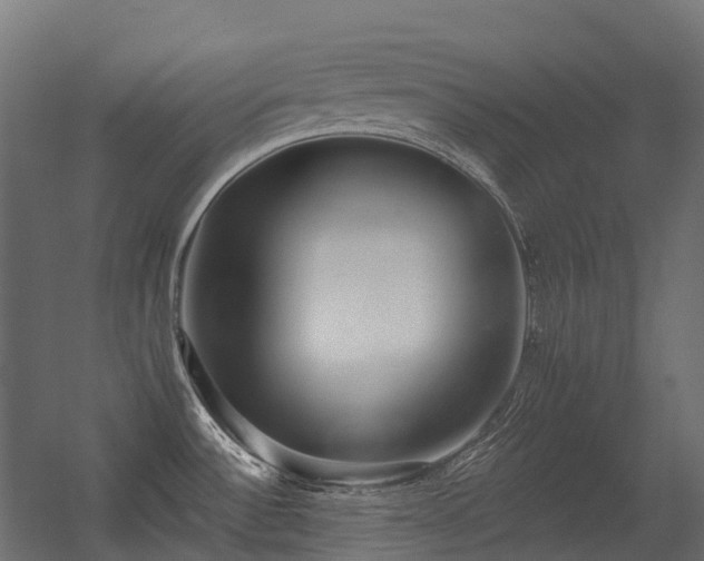 X0000056311532200509021524