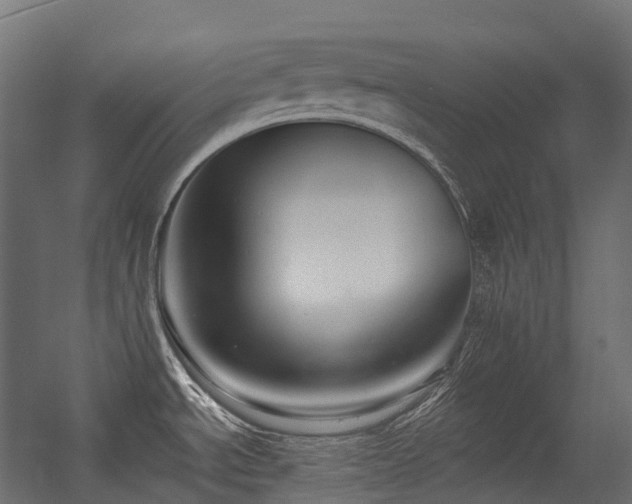 X0000056311534200509021524