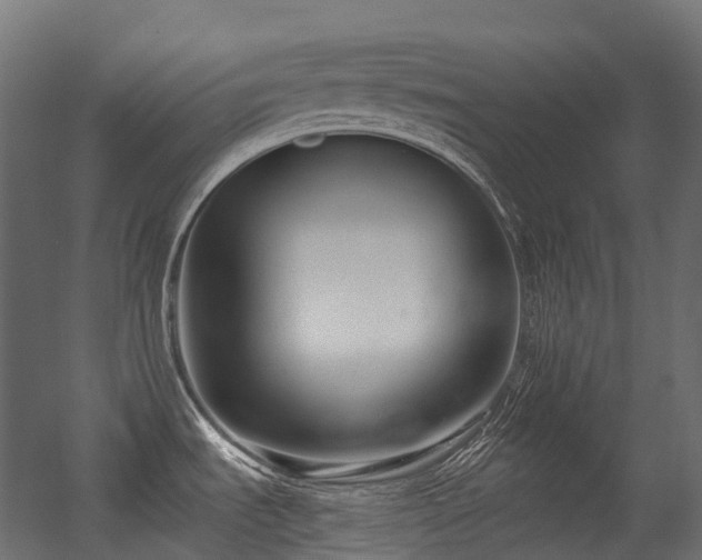X0000056311535200509021524