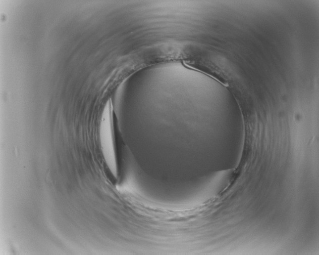 X0000056310035200509092248