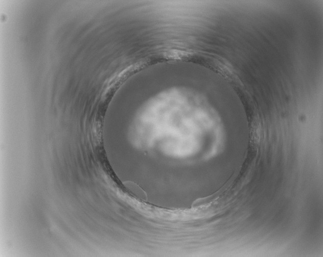 X0000056310043200509092248