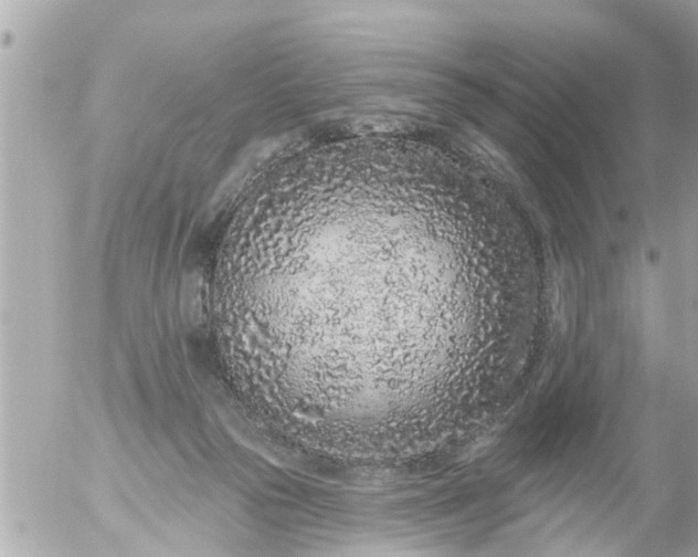 X0000056310169200509092246