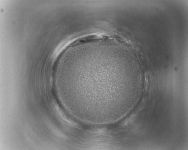 X0000056310247200509092244