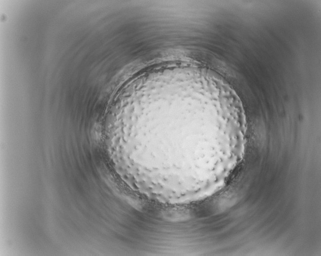 X0000056310431200509092242