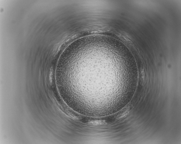 X0000056310499200509092241