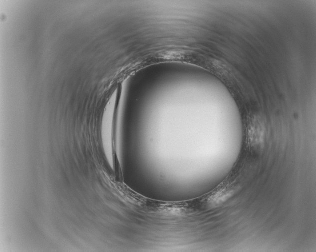 X0000056310620200509092239