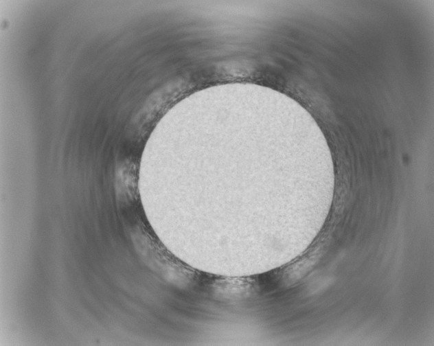 X0000056310672200509092239