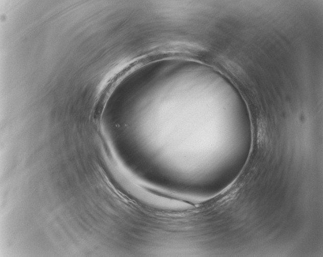 X0000056311164200509092230