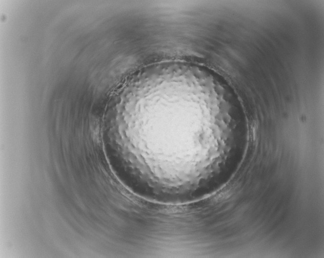 X0000056311251200509092228