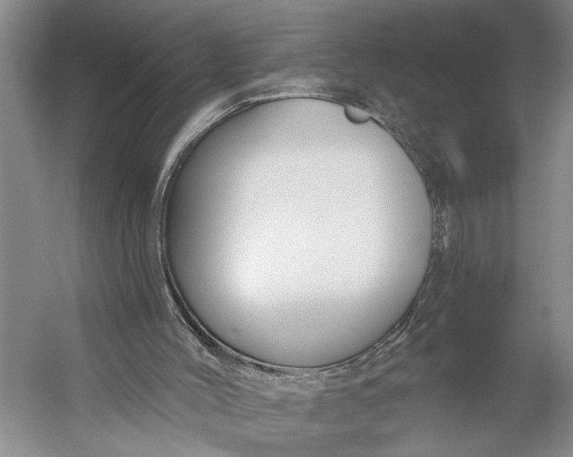 X0000056310004200509161629