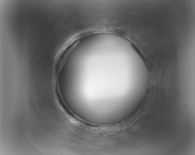 X0000056310005200509161629