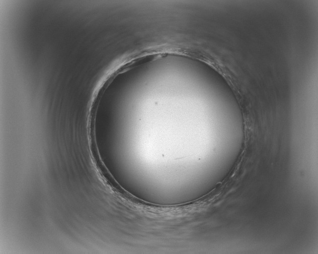 X0000056310006200509161629
