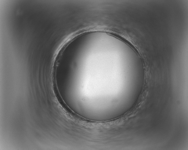 X0000056310007200509161629