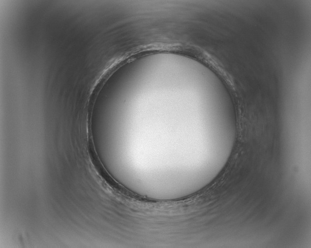 X0000056310011200509161629